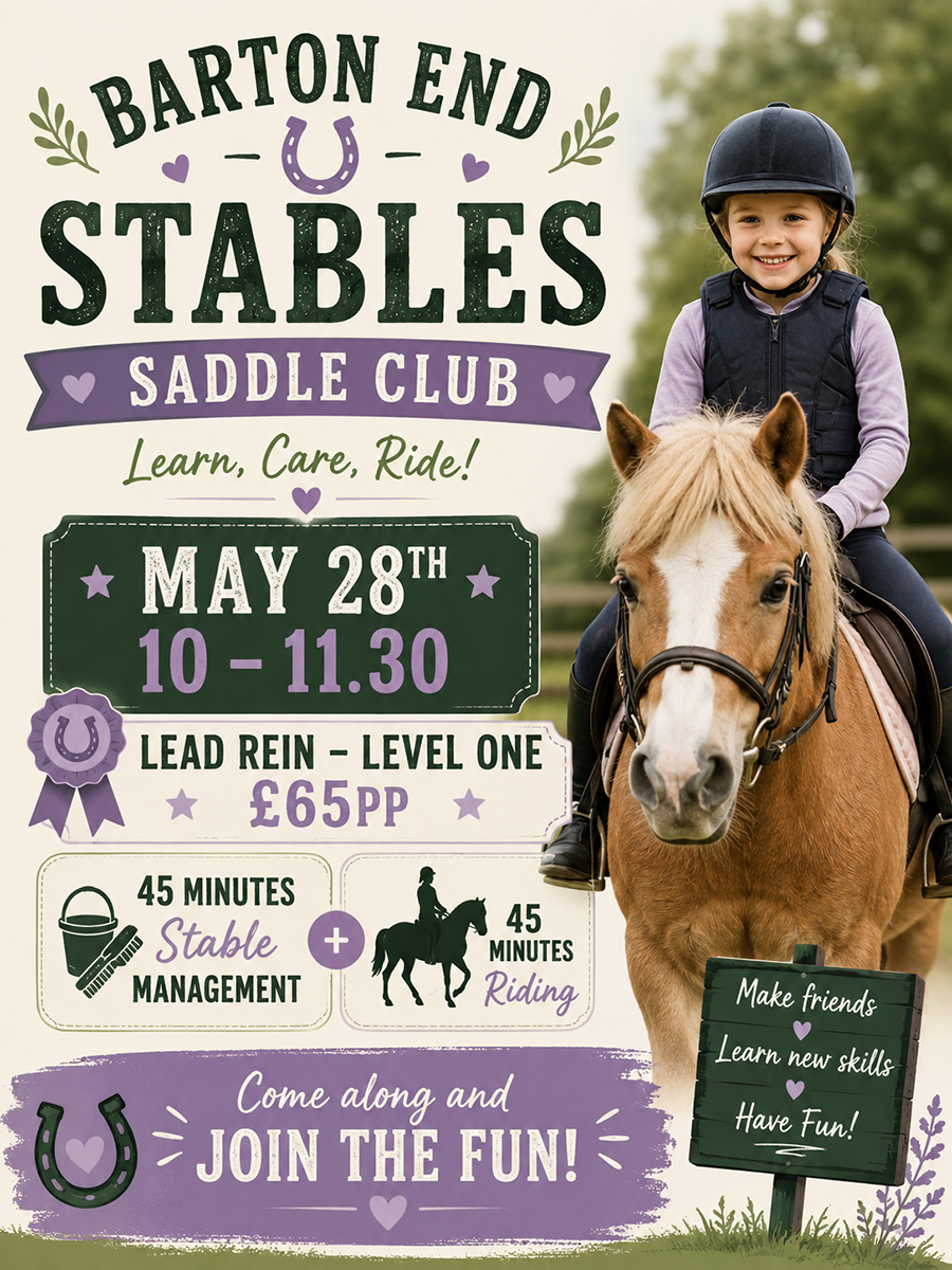 Saddle Club